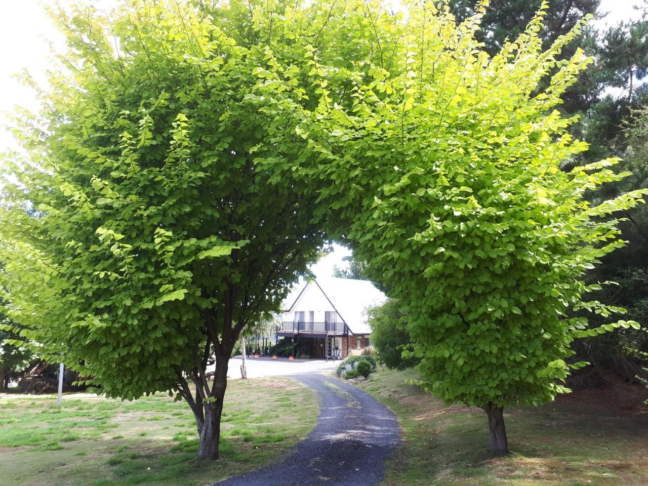 Robin'S Nest B&B Wilmot Exterior photo